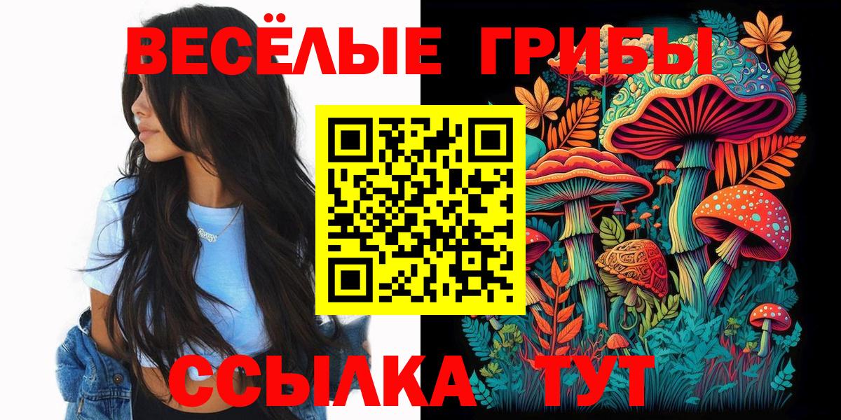 Псилоцибиновые грибы Cubensis Артёмовский