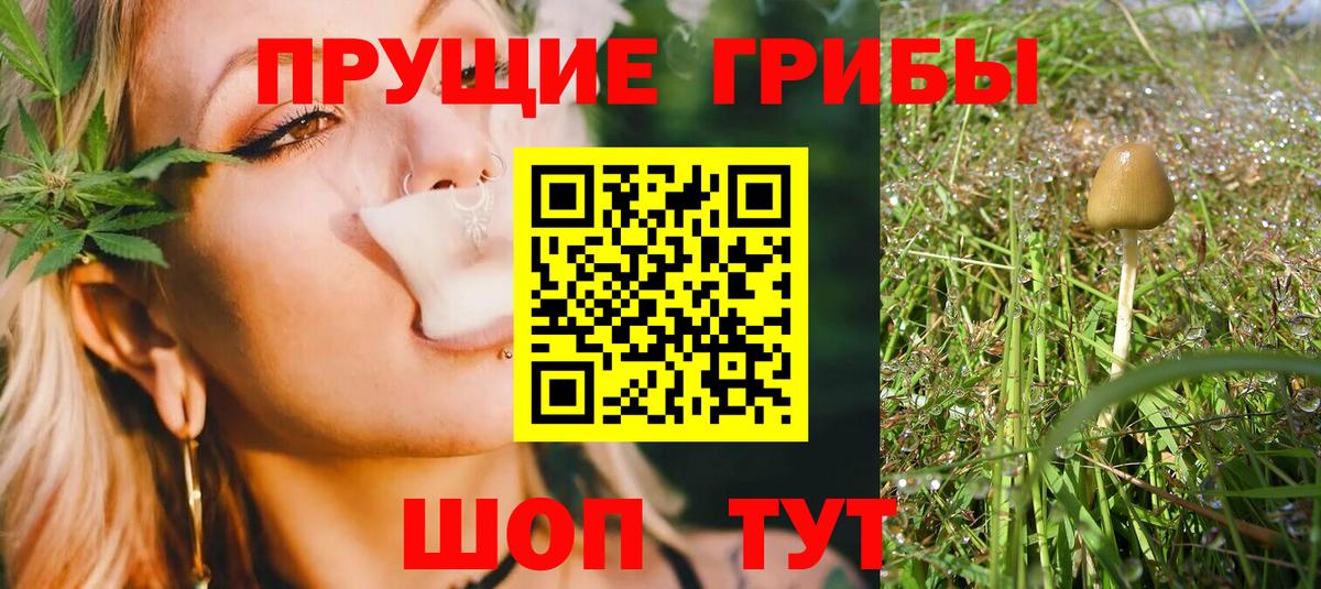 Галлюциногенные грибы MAGIC MUSHROOMS  где продают   Артёмовский  Вход с VPN 